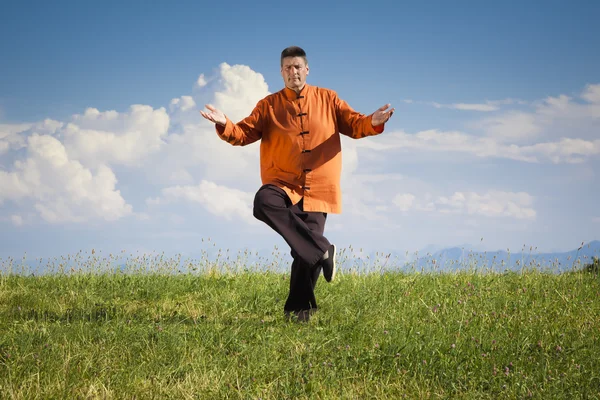Qi-Gong outdoor — Stock Photo, Image
