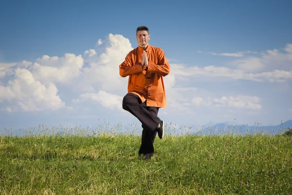 Qi-gong buiten — Stockfoto