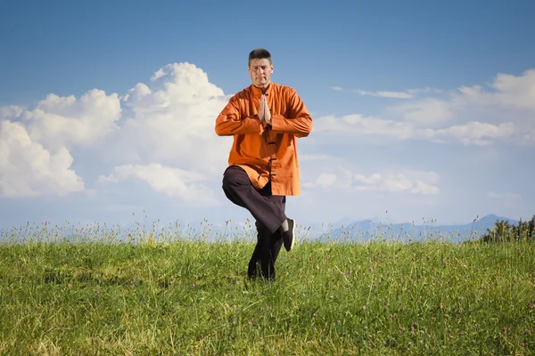 Qi-gong buiten — Stockfoto