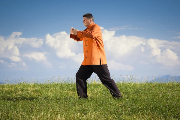 Qi-gong buiten — Stockfoto