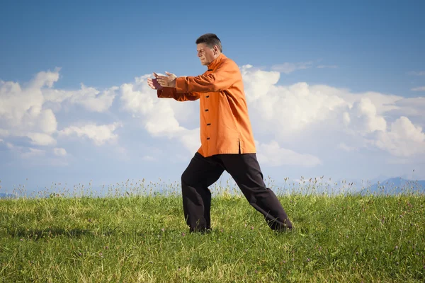 Qi-Gong outdoor — Stock Photo, Image