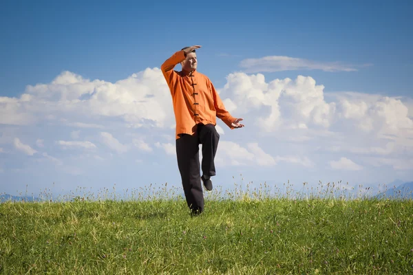 Qi-Gong al aire libre — Foto de Stock