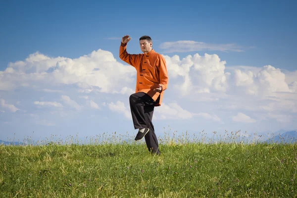 Qi-gong buiten — Stockfoto