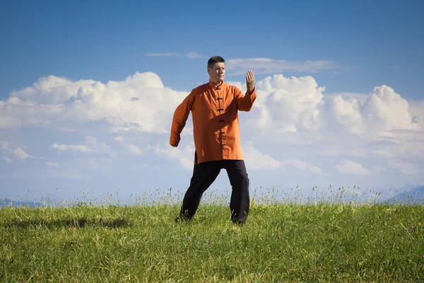 Qi-Gong al aire libre —  Fotos de Stock