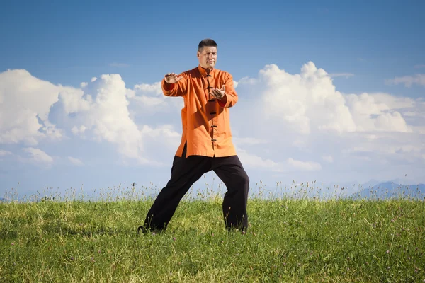 Qi-Gong im Freien — Stockfoto