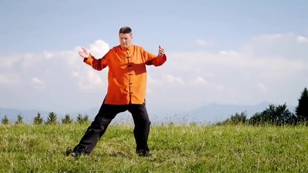 Un hombre haciendo Qi-Gong en la naturaleza verde — Vídeo de stock