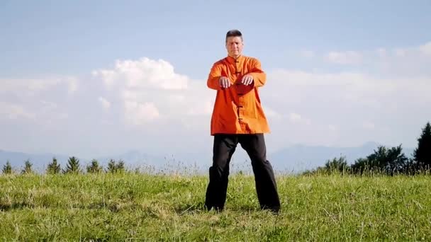 Un hombre haciendo Qi-Gong en la naturaleza verde — Vídeo de stock