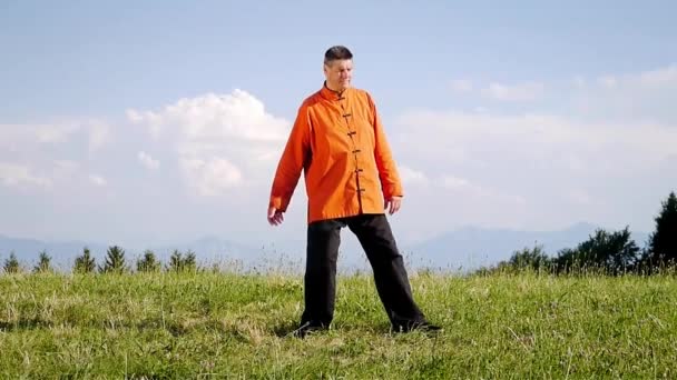 Un hombre haciendo Qi-Gong en la naturaleza verde — Vídeos de Stock