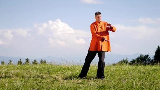 Un hombre haciendo Qi-Gong en la naturaleza verde — Vídeo de stock