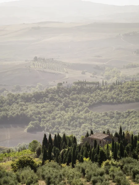 Obraz krajina Toskánska v Itálii — Stock fotografie