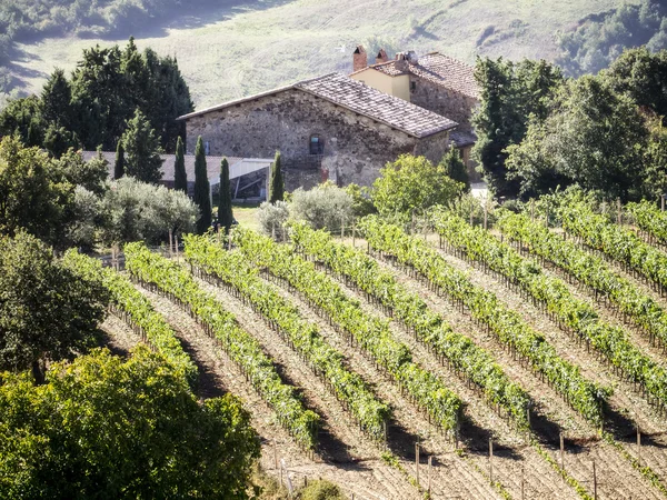 Vinho da Toscana — Fotografia de Stock