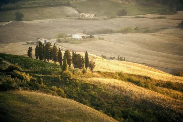 Obraz krajina Toskánska v Itálii — Stock fotografie