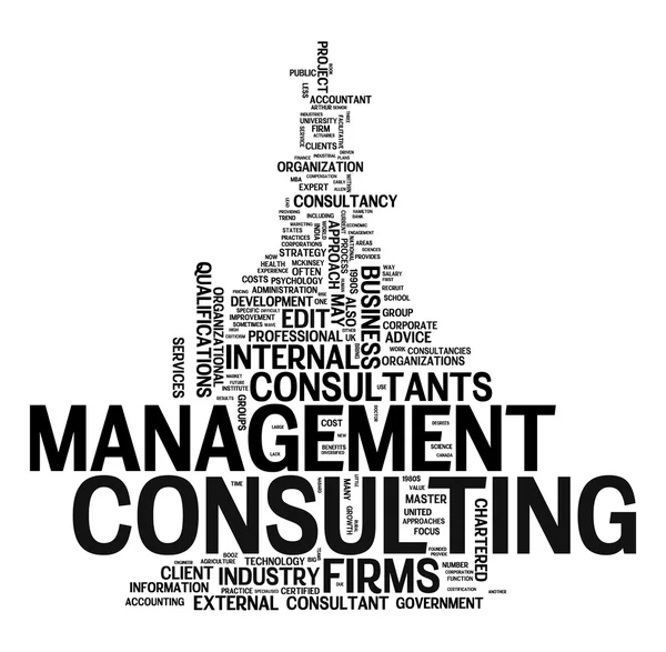 Management consulting tekst wolk — Stockvector