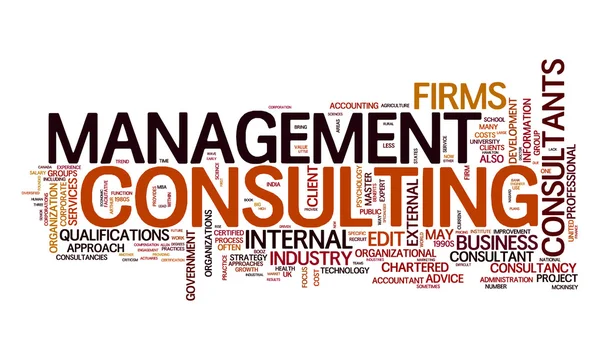 Management consulting text cloud — Stock Vector