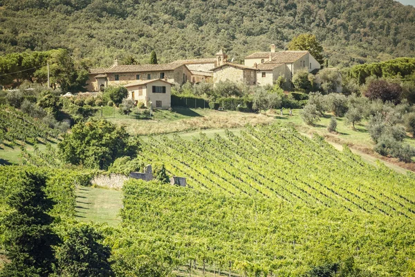 Wine Hill Italia — Foto Stock