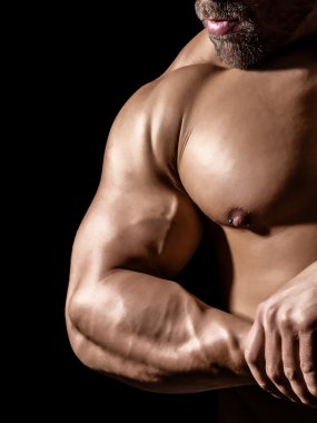 vücut geliştirme adam