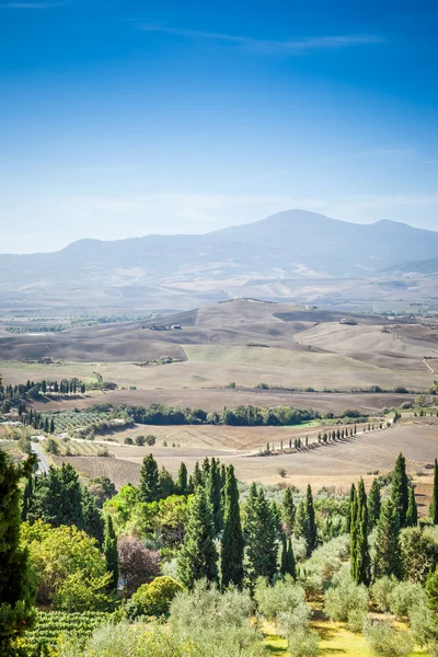 Paisagem de pienza — Fotografia de Stock