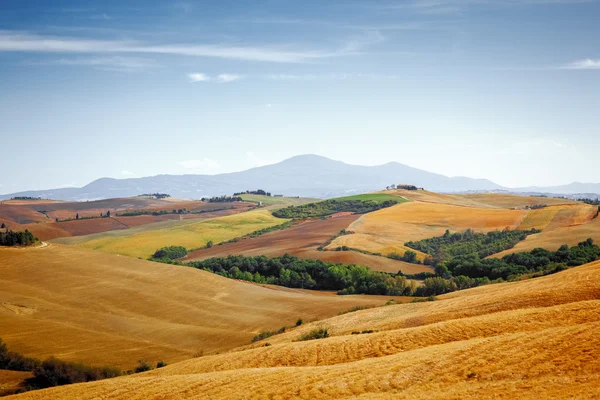 Pienza Tuscany Italy — Stock Photo, Image