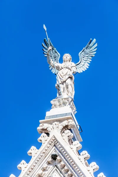 Engel an der Kathedrale in Siena — Stockfoto