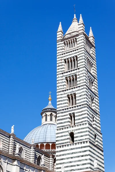 Katedralen i siena — Stockfoto