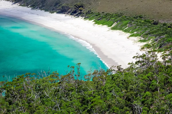 Baia di occhiali da vino — Foto Stock