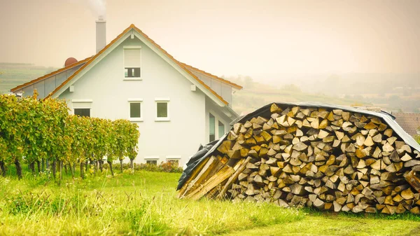 Aquecimento Doméstico Com Lote Madeira Paisagem Outono Exterior — Fotografia de Stock