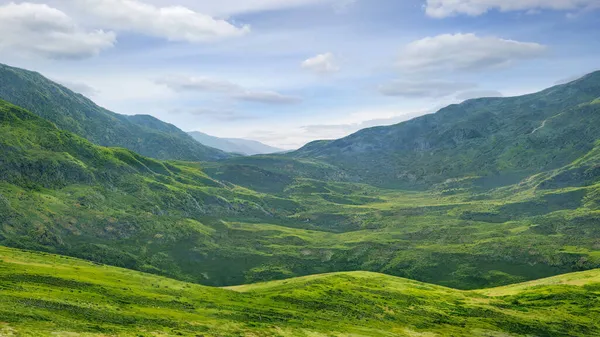 Een Alpine Groene Vallei Landschap Illustratie — Stockfoto