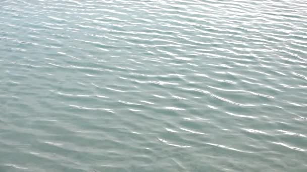 動きの遅い水面の波紋 — ストック動画