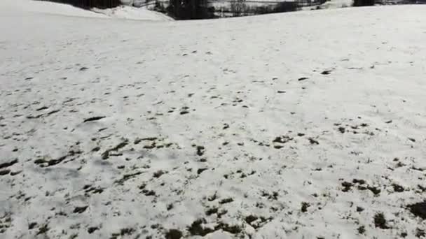 Πτήση Πάνω Από Ένα Χιονισμένο Τοπίο Στη Νότια Γερμανία Black — Αρχείο Βίντεο