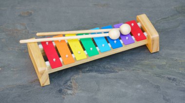 Tipik bir çocuk ksilofonu görüntüsü