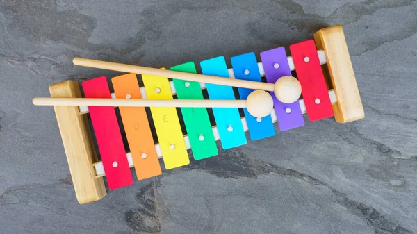 Image Typical Childrens Xylophone — Stock Photo, Image