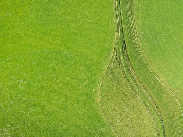 Obrázek Leteckého Zobrazení Pozadí Zelené Louky — Stock fotografie