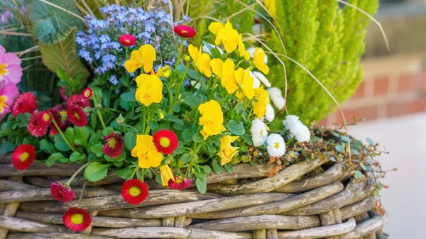 Image Basket Full Flowers — стоковое фото