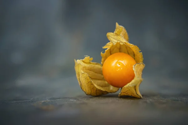 Obraz Physalis Berry Břidlicovém Pozadí — Stock fotografie