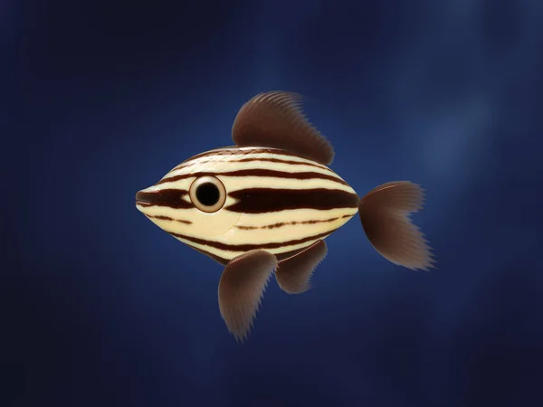 Illustration Sweet Little Fish Stripes — Stock Photo, Image