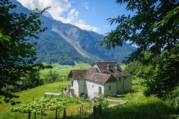 Obraz Idylického Statku Švýcarských Alpách — Stock fotografie