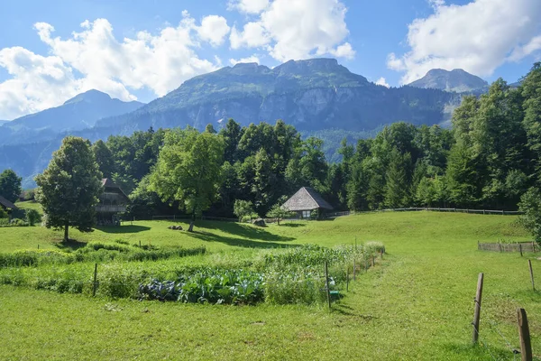 Image Idyllic Scenery Switzerland Alps Wooden Farm Houses — ストック写真