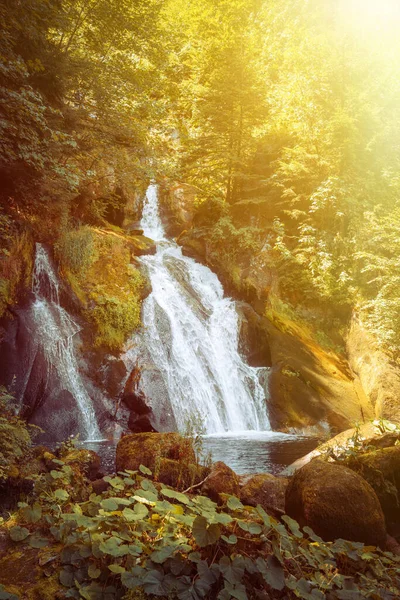 Een Afbeelding Van Waterval Van Triberg Zuid Duitsland — Stockfoto