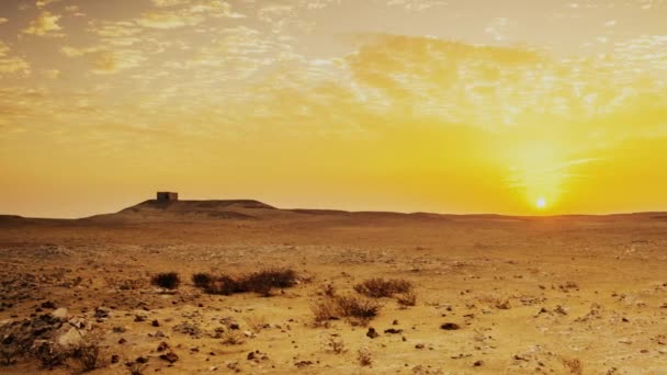 Sunset Egypt Desert — Video Stock