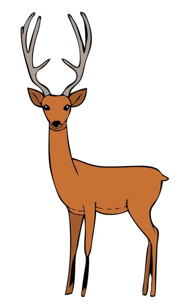 Illustration Wild Deer Portrait Vector — Vetor de Stock