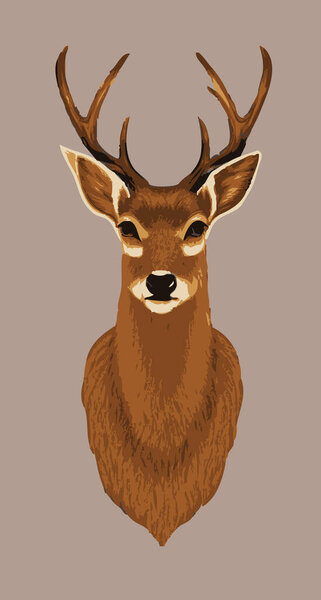 An illustration of a wild deer portrait vector