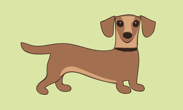 Uma Ilustração Doce Pequeno Dachshund —  Vetores de Stock