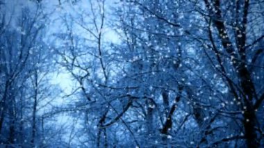 Kar yağışıweather condition