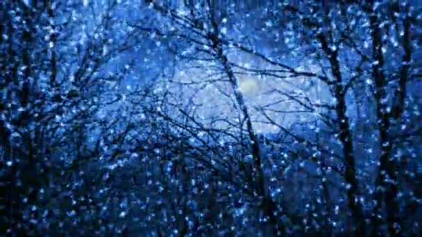 Nacht sneeuwval — Stockvideo