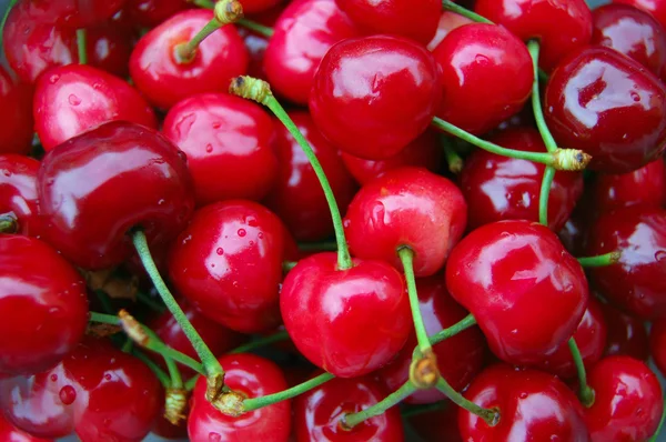Bunch of cherries Stock Picture
