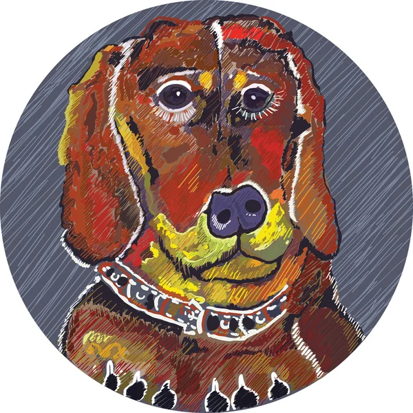Basset hound