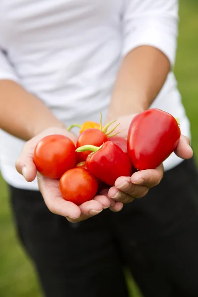 Vegetables in hands — Stock Photo, Image