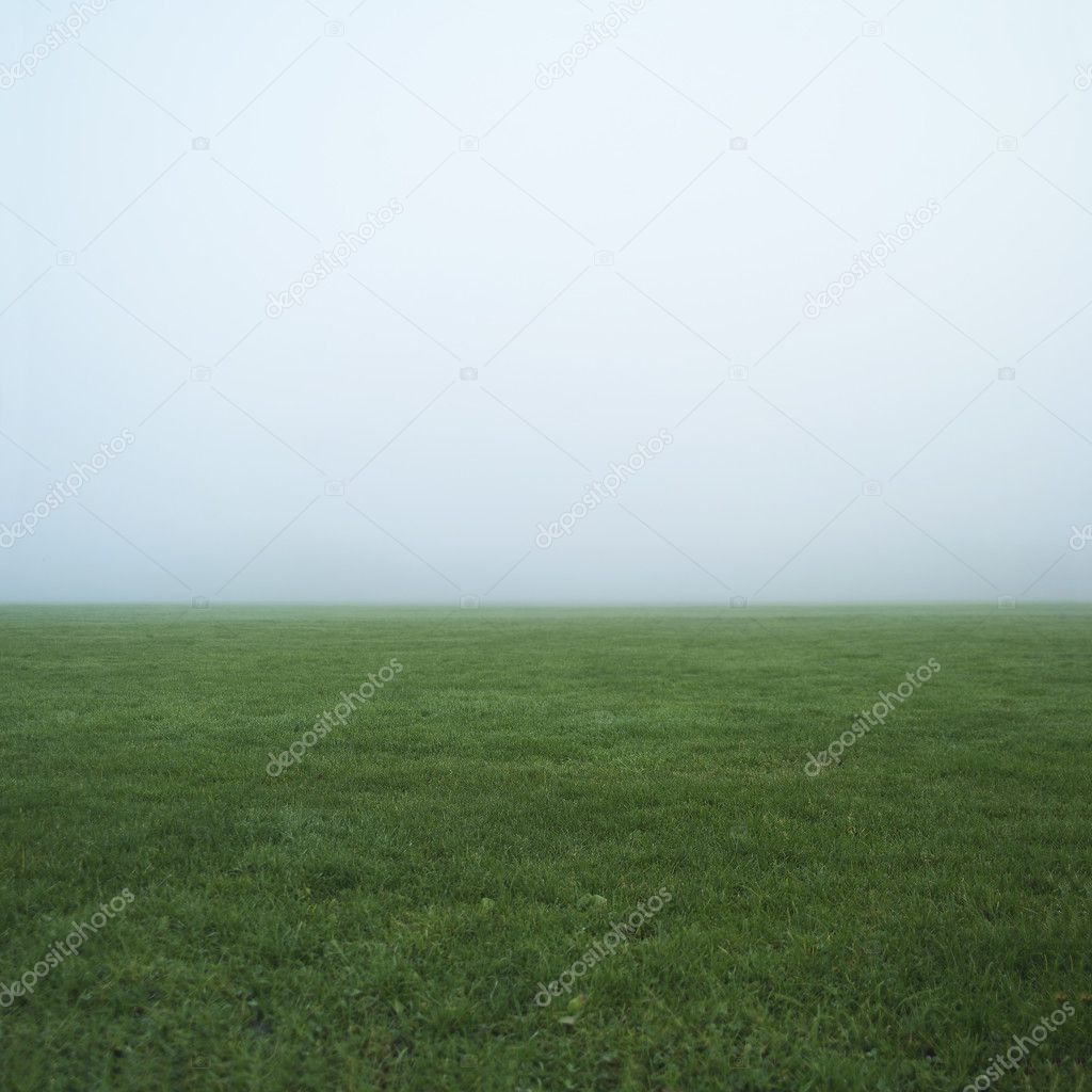 Fog Landscape