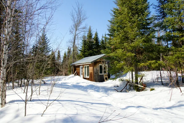 Cabaña de madera vieja durante el invierno — Foto de Stock