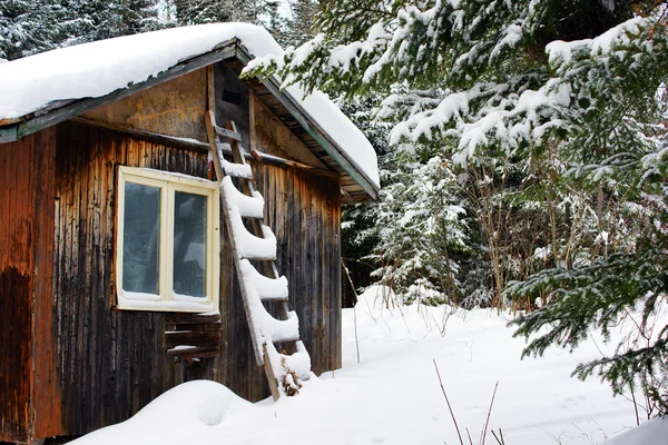 Cabaña de madera vieja cubierta de nieve — Foto de Stock